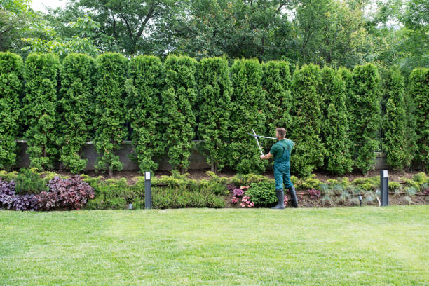 Best Commercial Tree Services  in Prestonsburg, KY